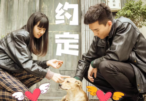 其意视频app下载官方最新版(爱其意影视)
