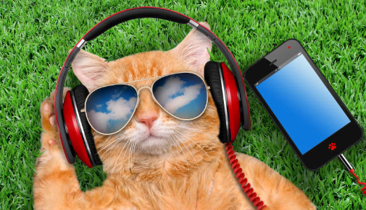 歌曲海音乐app最新版本下载