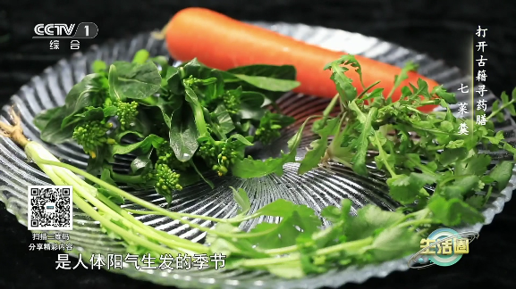 圆桌直播tv最新版本下载