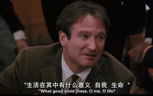 豆丁视频免费下载app最新版