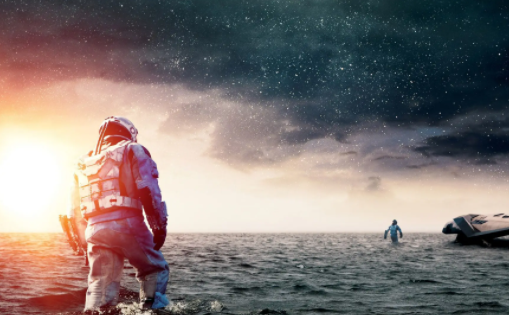 一只猫影视最新版本2022