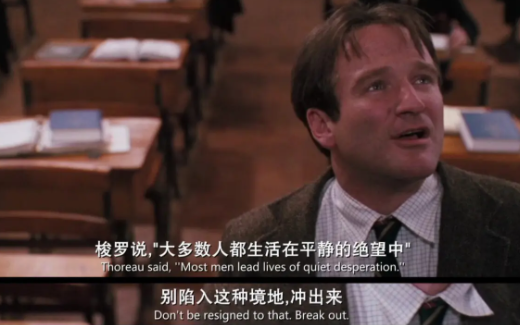 豆丁视频免费下载app最新版