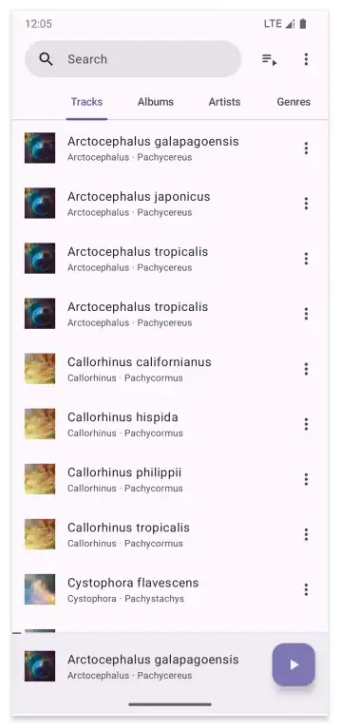 Phocid本地音乐播放器官方下载