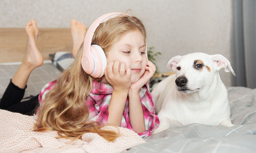 笒鬼鬼音乐盒最新版本下载