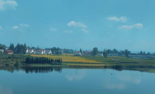 酷影视界最新版本下载