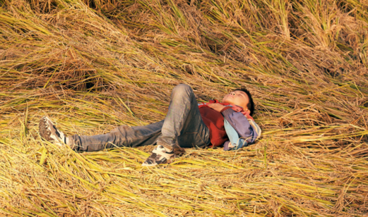 好好看app官方下载