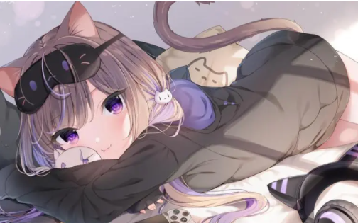 喵次元动漫下载安装