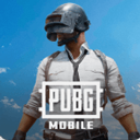 PUBG国际服安卓下载