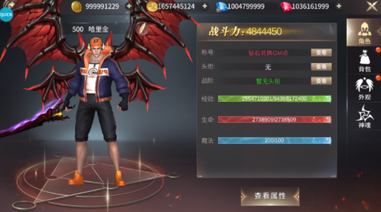 龙之法则手游无限刷充版