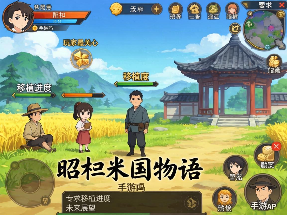 玩家最关心的移植进度与未来展望