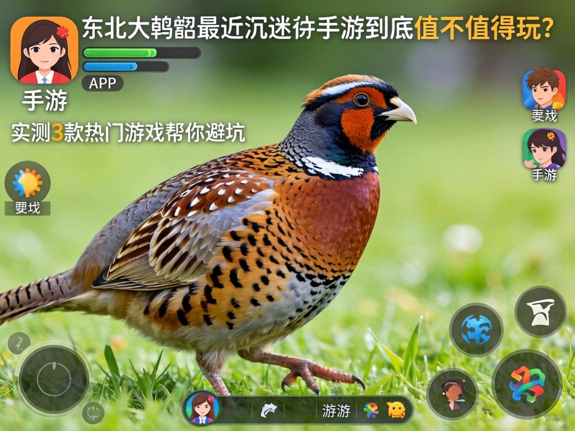 东北大鹌鹑最近沉迷的手游到底值不值得玩