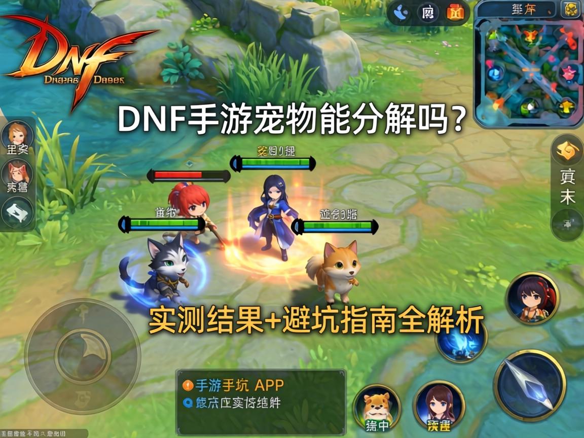 DNF手游宠物能分解吗？实测结果+避坑指南全解析