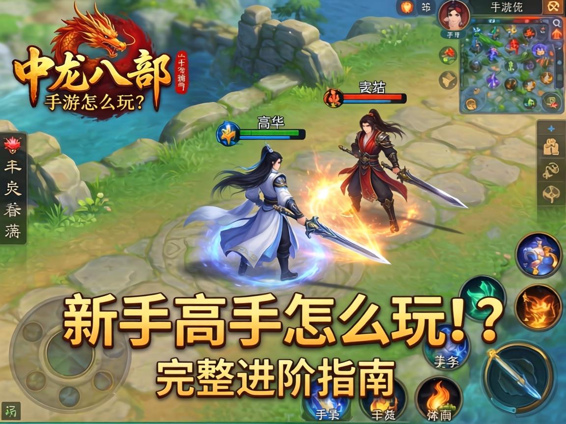 从新手到高手的完整进阶指南