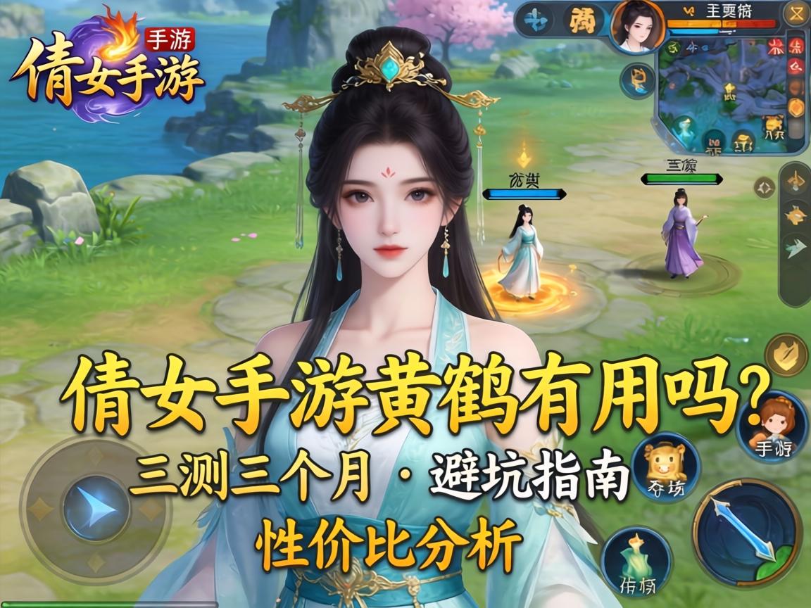 实测三个月的避坑指南与性价比分析