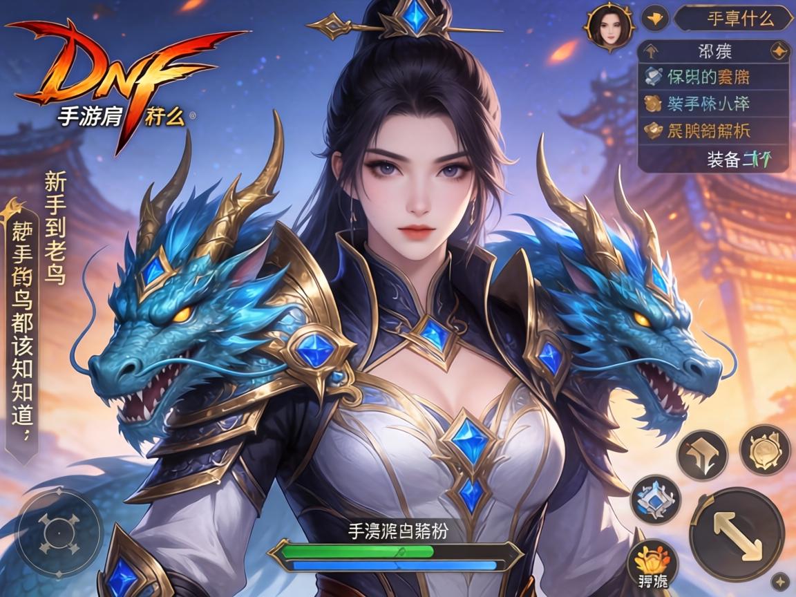 新手到老鸟都该知道的装备解析