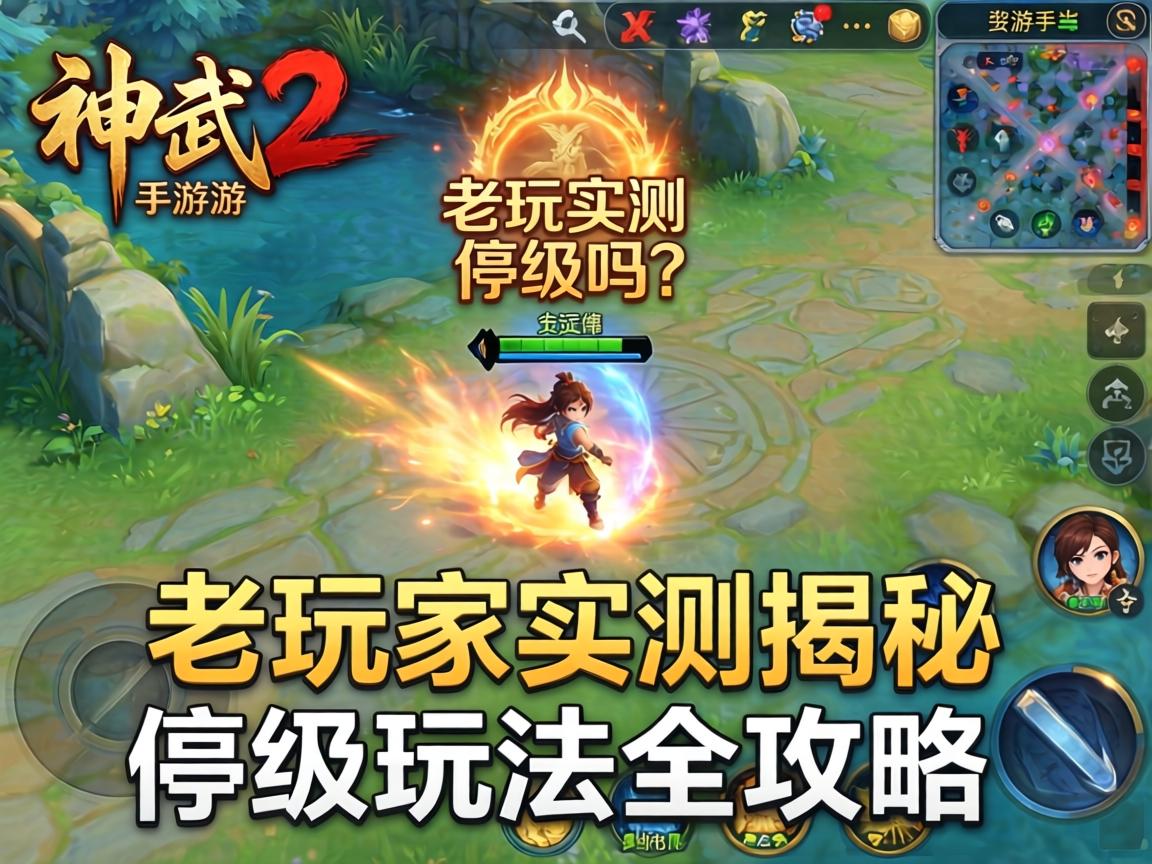 老玩家实测揭秘停级玩法全攻略