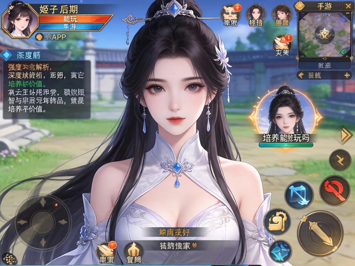 深度解析角色强度与培养价值